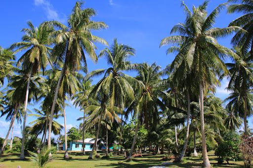 Bali to Funafuti Atol Flights