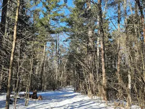 Wrights Mountain Trailhead