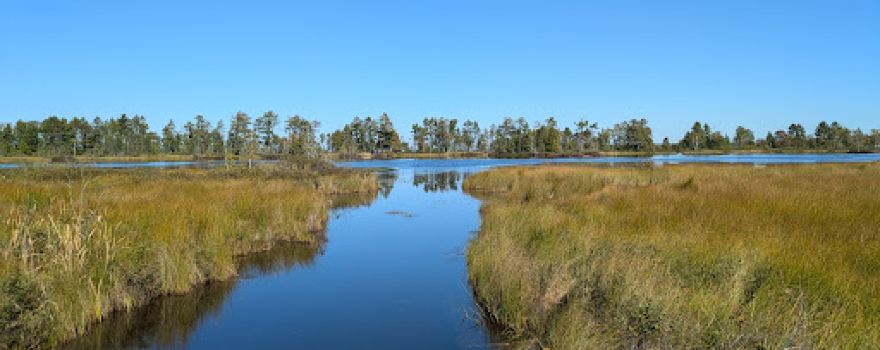Bark Bay Slough State Natural Area