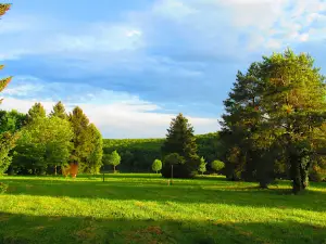 Desedai parkerdő és arborétum