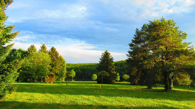 Desedai parkerdő és arborétum