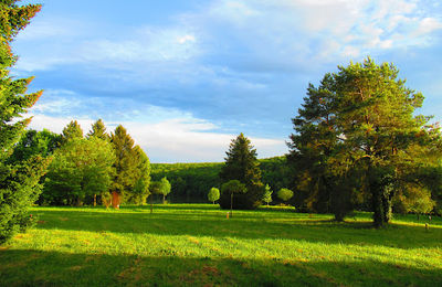 Desedai parkerdő és arborétum