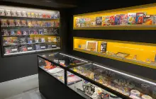 Bricks & Figs - the largest museum of LEGO bricks and Minifigures