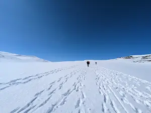 Snøhetta