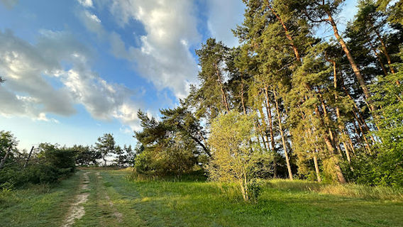 Camping sun and nature lovers e.V.