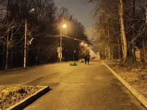 Ельниковская роща