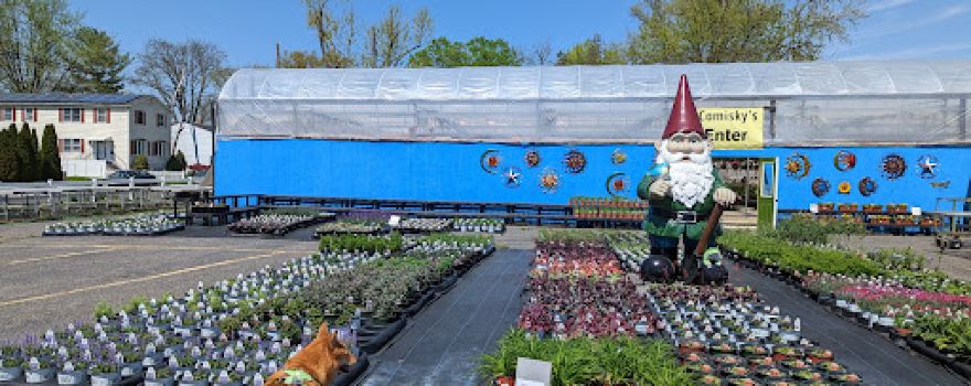 Comisky's Greenhouses Inc.