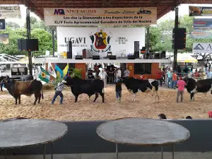 Parque Ferial Azael Martinez