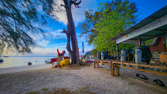 Octo Diver Perhentian Island