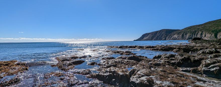 Landwash