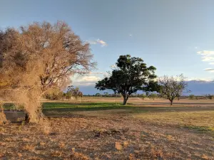 Coonamble Golf Club