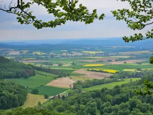 Hohenstein