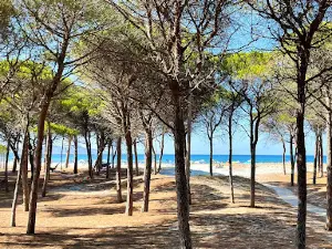 Camping Selema