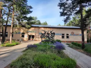 Familienpark Senftenberger See