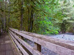 Cumberland Community Forest