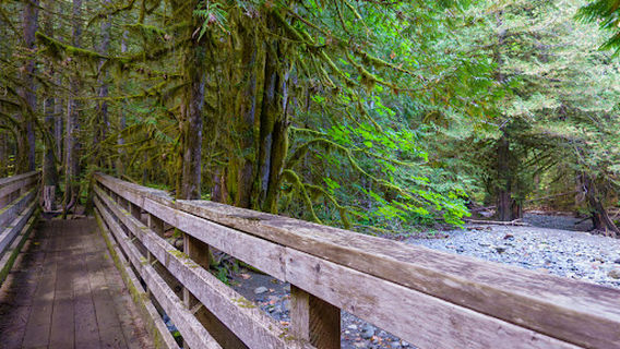 Cumberland Community Forest