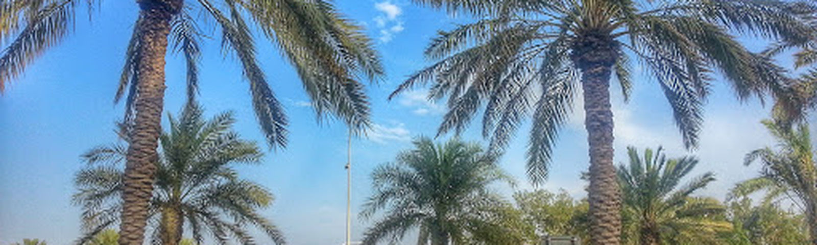 travel