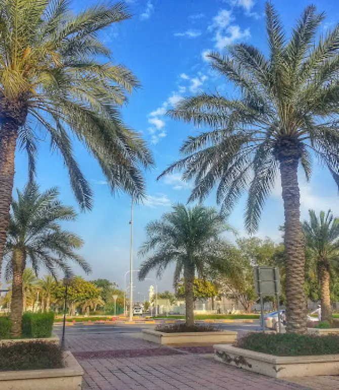 Mesaieed