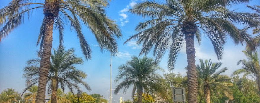 Masjid Salah al-Din al-Ayubbi
