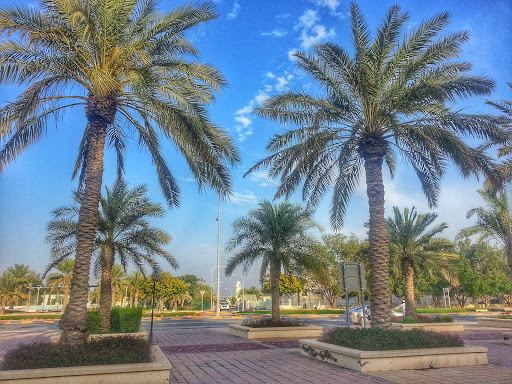 mesaieed