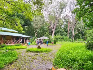 Ratapani Wildlife Sanctuary & Tiger Reserve