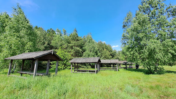 Zborowskie
