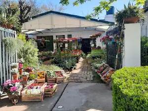 Vivero Santa Rosa