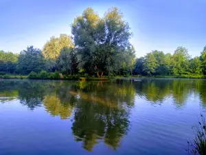 Camping Le Val du Ternois