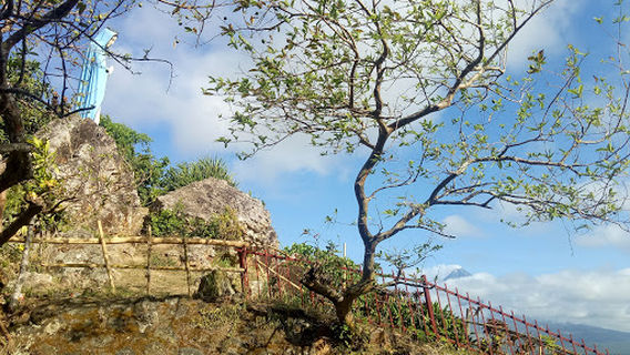 Our Lady of Guadalupe Shrine - Brgy. Buraguis, Legazpi