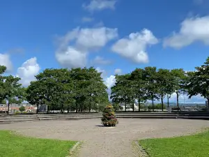 Arthur's Quay Park