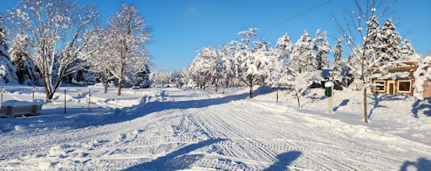 Trailside Park Pequot Lakes, Minnesota.