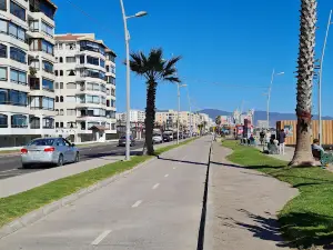 La Serena (letras)