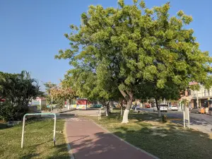 Central Park