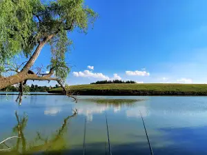 Balta Maioru