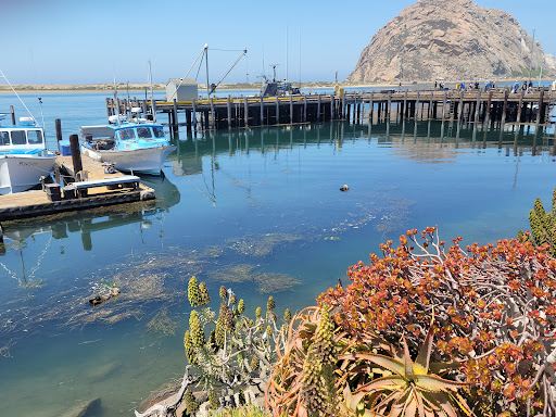 Morro Bay T Pier