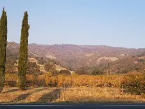 Lakeport Auto Movies Drive In