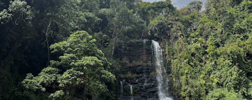 Jeep trekking & tourist guide