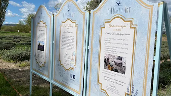 EAU DE TIHANY - Levendulás