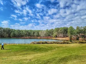 Foxfire Resort & Golf