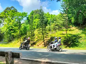 Sta. Maria Laguna Viewing Deck