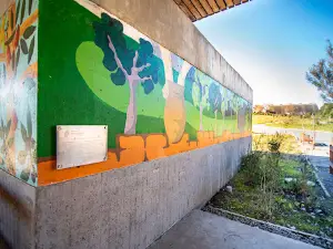 Alessandri Nacimiento Park