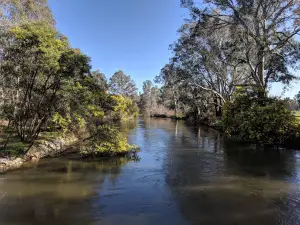 Pioneer Bridges Rest Area