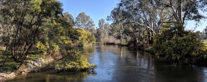 Pioneer Bridges Rest Area