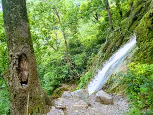 Cascada de Guadalupe Park