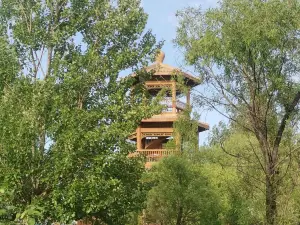 Tianyi Pavilion