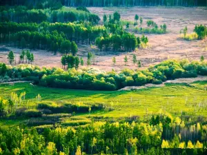 Daxing'anling Shuangheyuan National Wetland Park