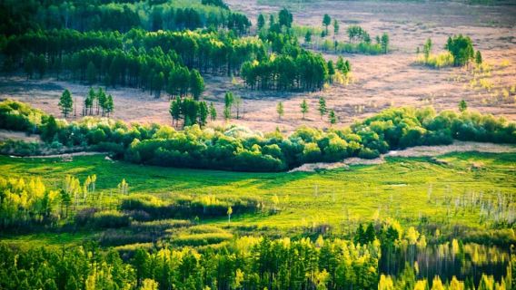 Daxing'anling Shuangheyuan National Wetland Park