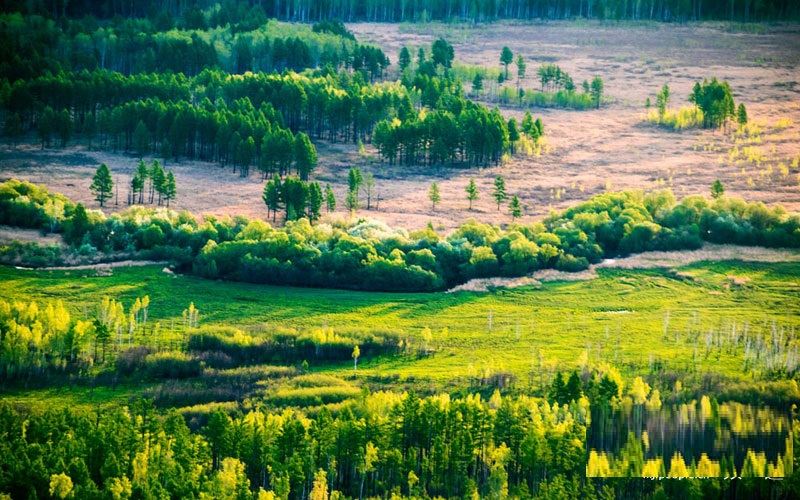 Daxing'anling Shuangheyuan National Wetland Park