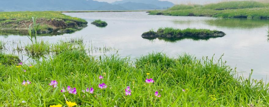Caizi Lake National Wetland Park