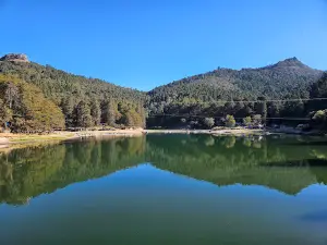 Presa El Cedral